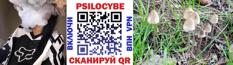 Галлюциногенные грибы Psilocybine cubensis  omg ONION  Отрадная  даркнет сайт 